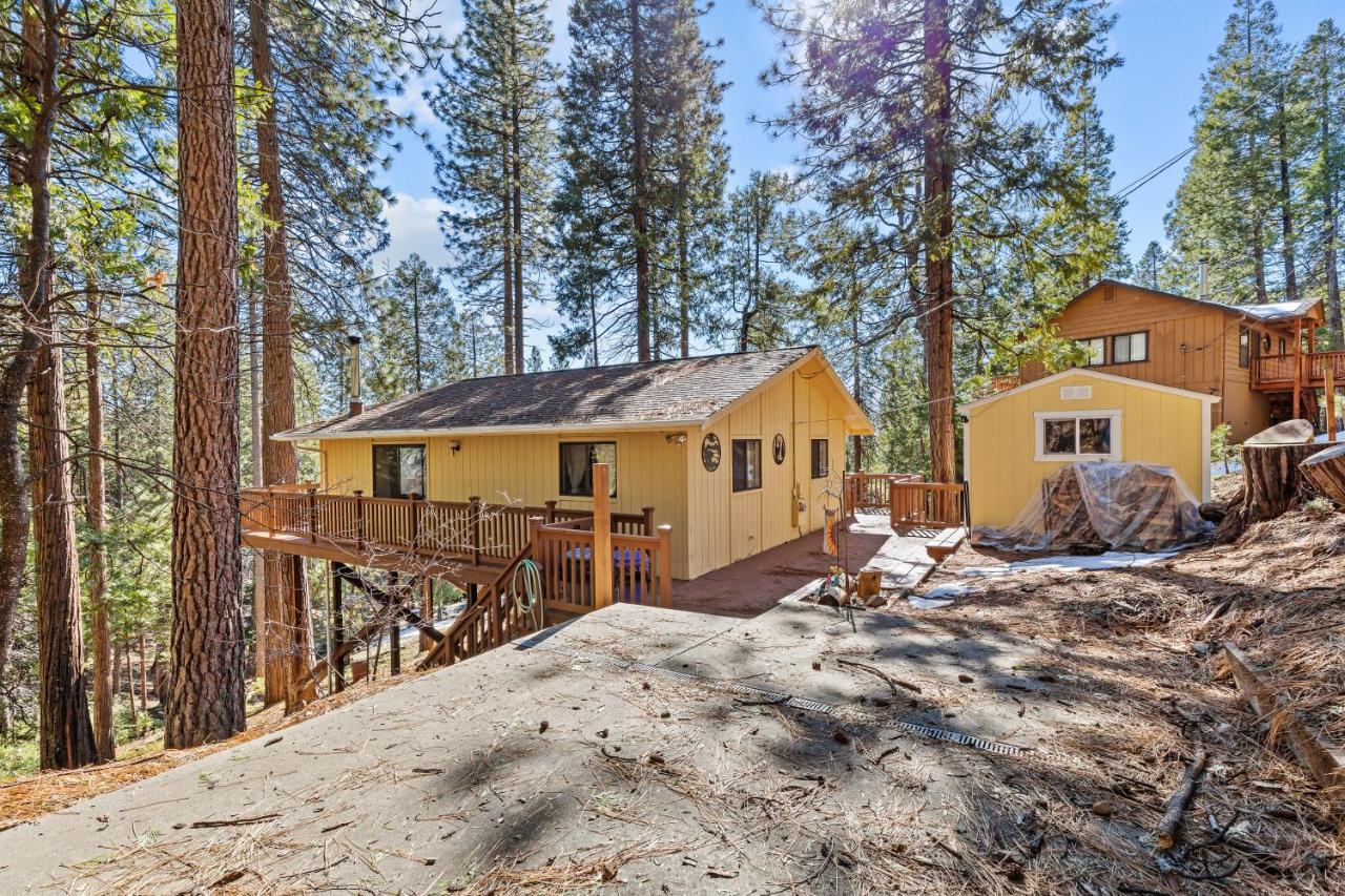 Big Trees, Little Cabin 阿诺德 外观 照片